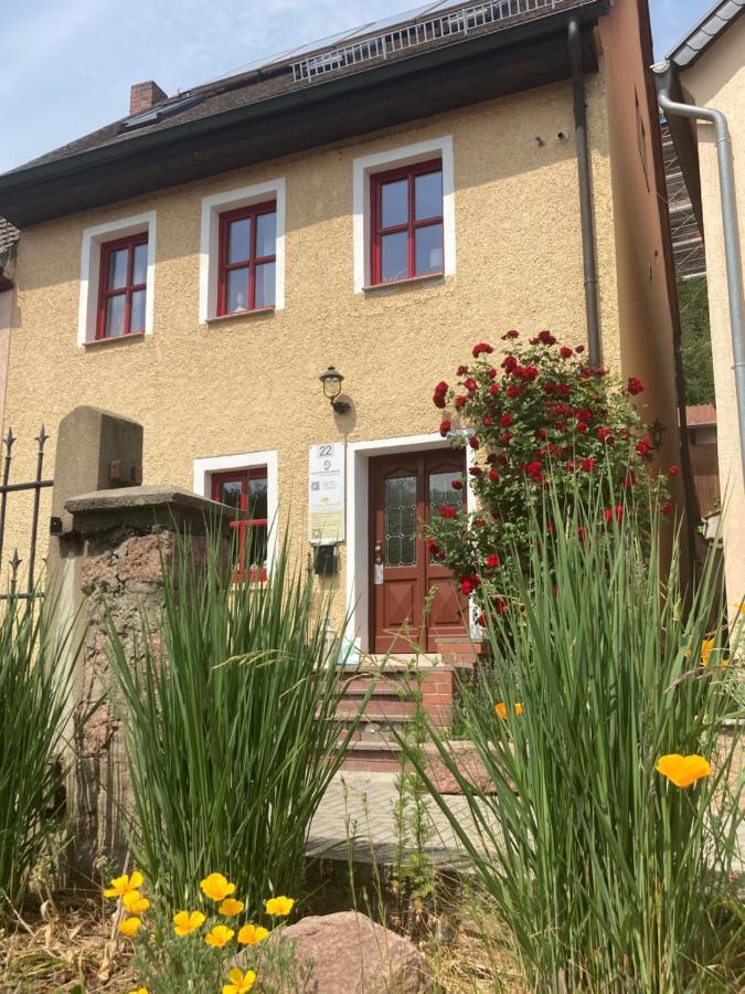 Radler Pension Wettin Kültér fotó