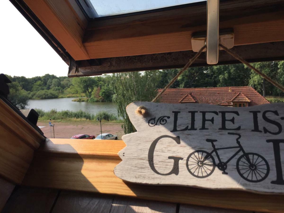 Radler Pension Wettin Kültér fotó